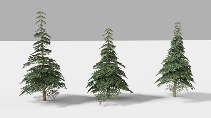 针叶树木blender模型展示