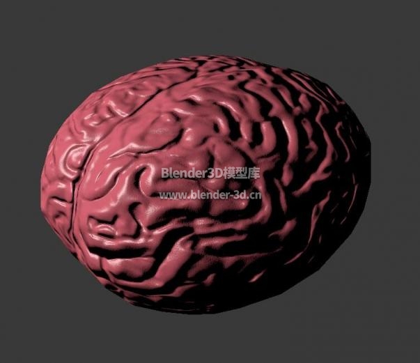 blender lowpoly大脑3d模型素材免费下载-blender3d模型库