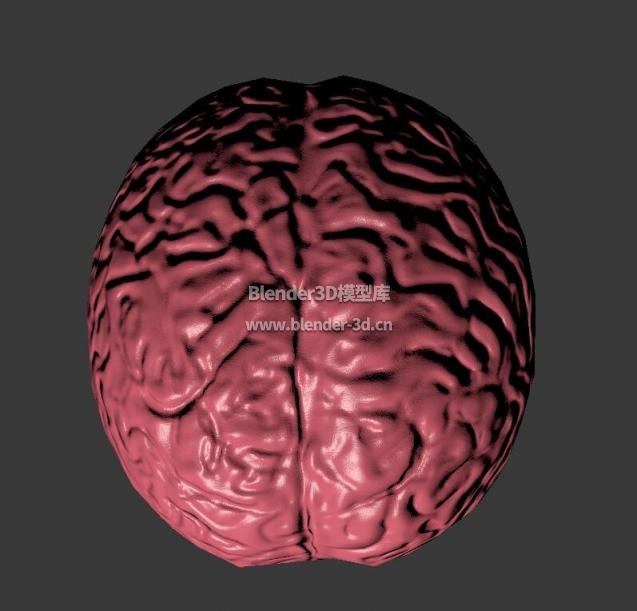 blender lowpoly大脑3d模型素材免费下载-blender3d模型库