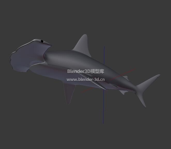 锤头鲨blender模型