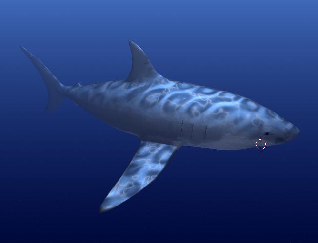 大白鲨鱼