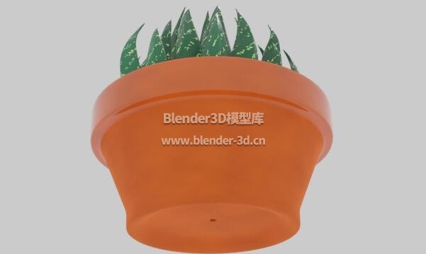 卡通多肉植物花盆盆栽盆景绿植